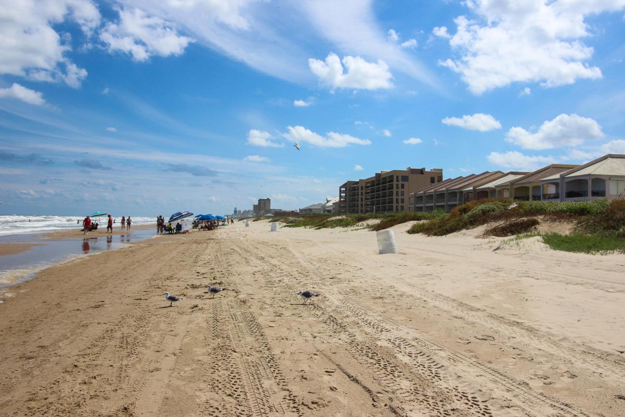 Ventura Villa South Padre Island Phòng bức ảnh